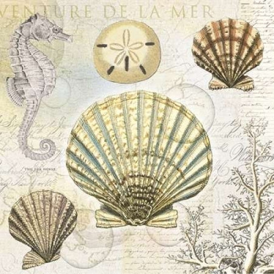 Shell 2 Poster Print by Lula Bijoux and Company Lula Bijoux and Company-VARPDXQCOSQ003 Image 1