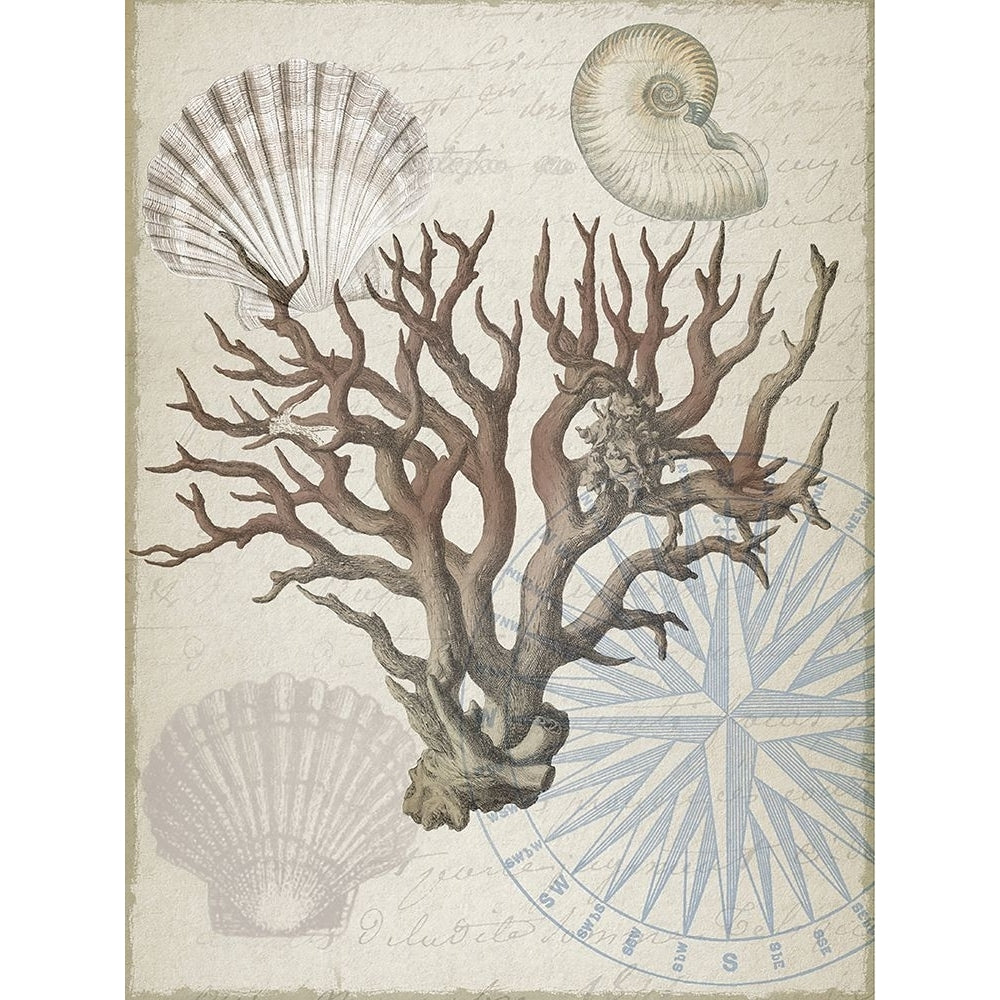 Coastal Coral Poster Print - BijouxAnd Company Lula-VARPDXQCARC218A Image 1