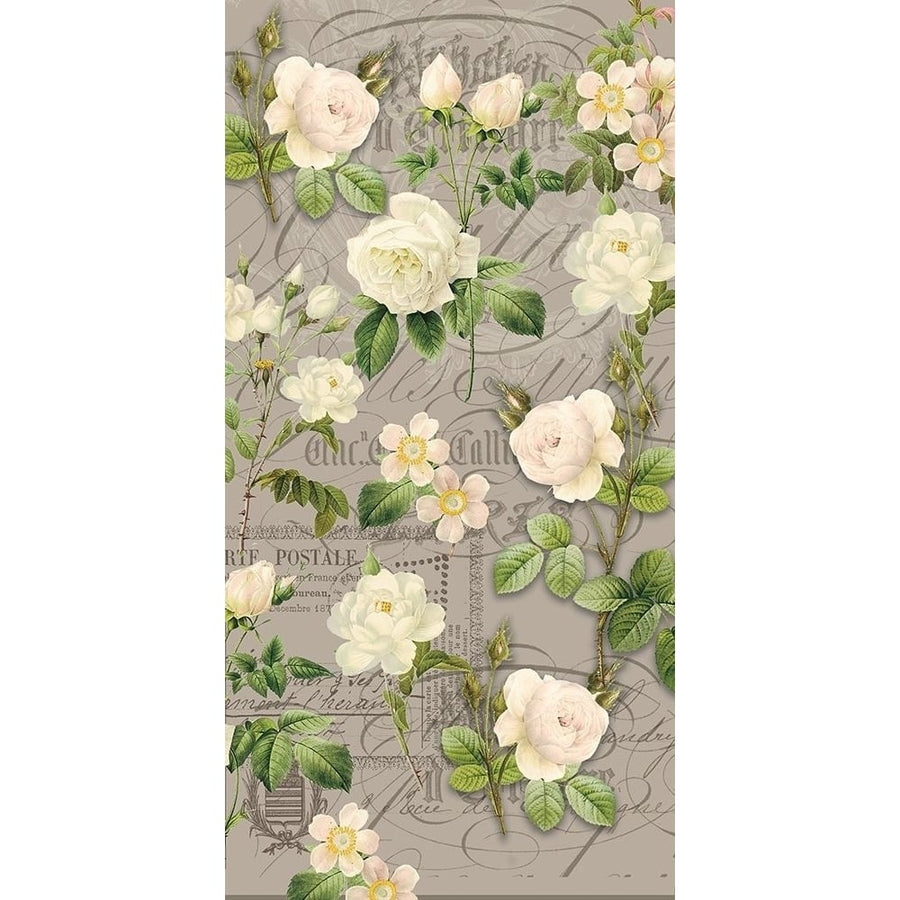 Vintage White Roses Poster Print by Candace Allen-VARPDXQCARN004A Image 1