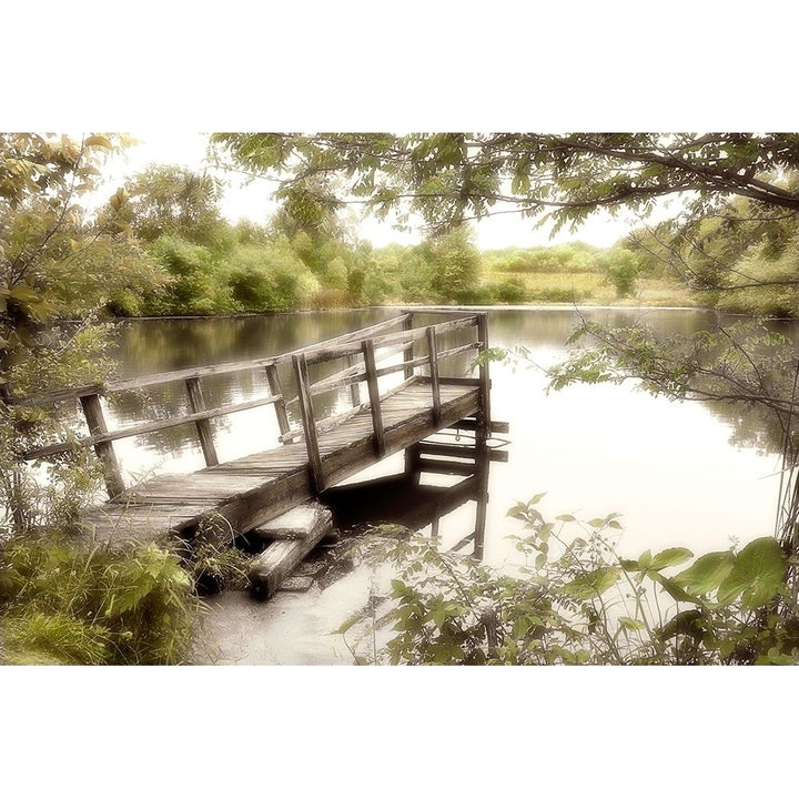 Pond Reflections Poster Print by Dianne Poinski-VARPDXQPDRC036 Image 1