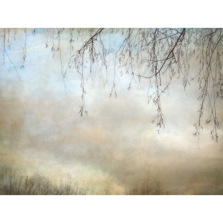 Winter Dusk Poster Print by Dianne Poinski-VARPDXQPDRC050 Image 2