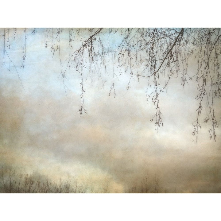 Winter Dusk Poster Print by Dianne Poinski-VARPDXQPDRC050 Image 1