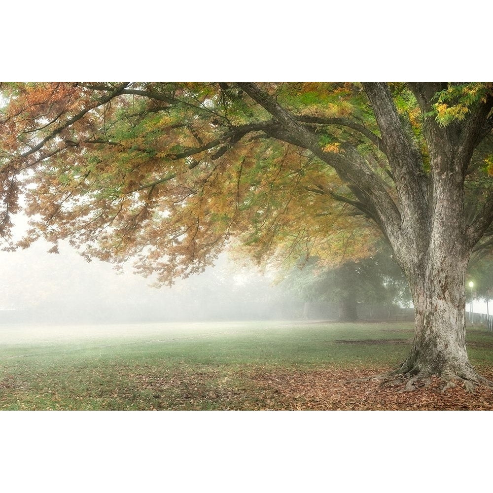 The Meadow 2 Poster Print by Dianne Poinski-VARPDXQPDRC13272 Image 1