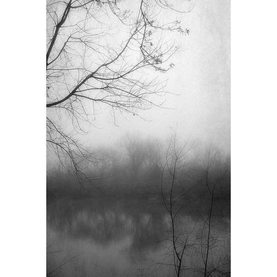 Misty Pond 2 BW Poster Print by Dianne Poinski-VARPDXQPDRC7402A Image 1