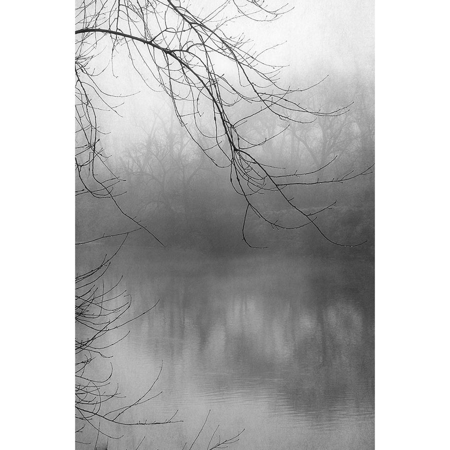 Misty Pond 1 BW Poster Print by Dianne Poinski-VARPDXQPDRC7401A Image 1