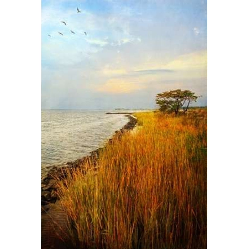 Morning Has Broken Poster Print by John Rivera-VARPDXR1049D Image 1