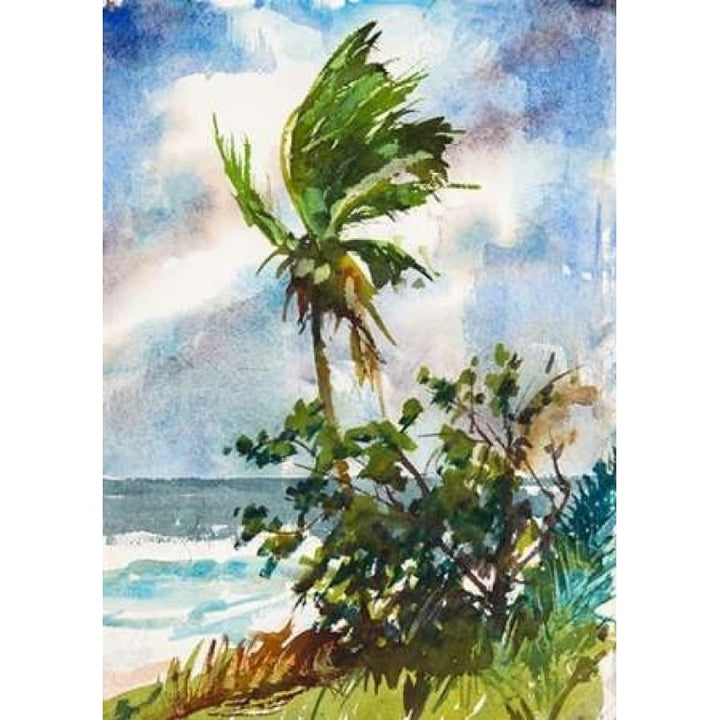 Ocean Breeze Poster Print by Richard A. Rodgers-VARPDXR1109D Image 2