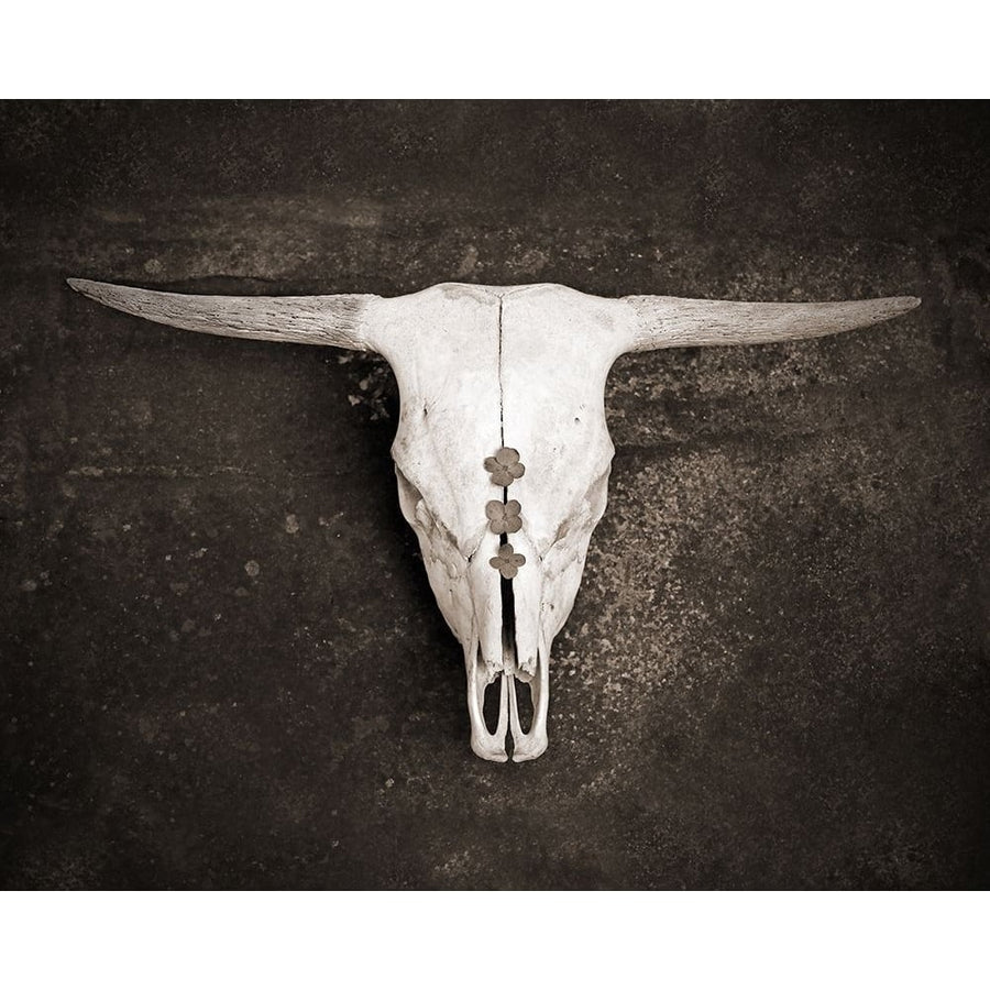 Sepia Cattle Skull Poster Print by Brooke T. Ryan-VARPDXR1222D Image 1