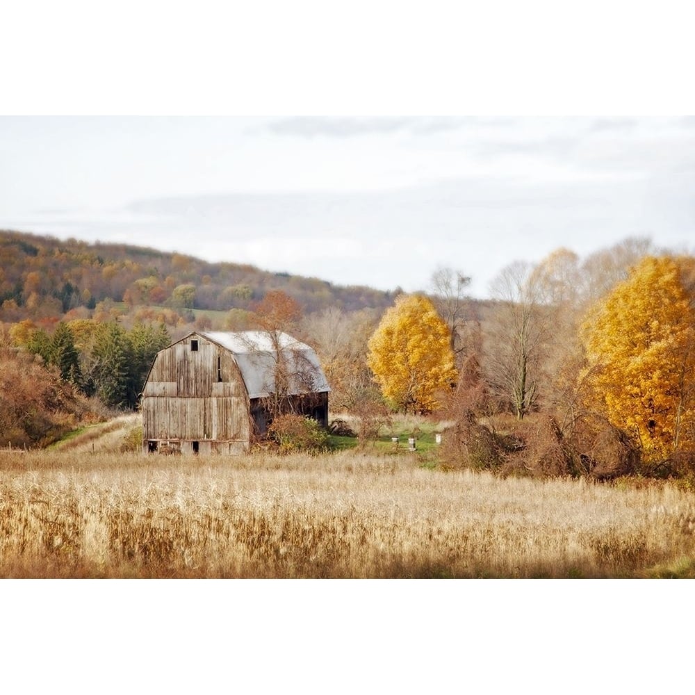 Barn and Beehives Poster Print by Brooke T. Ryan-VARPDXR1223D Image 1