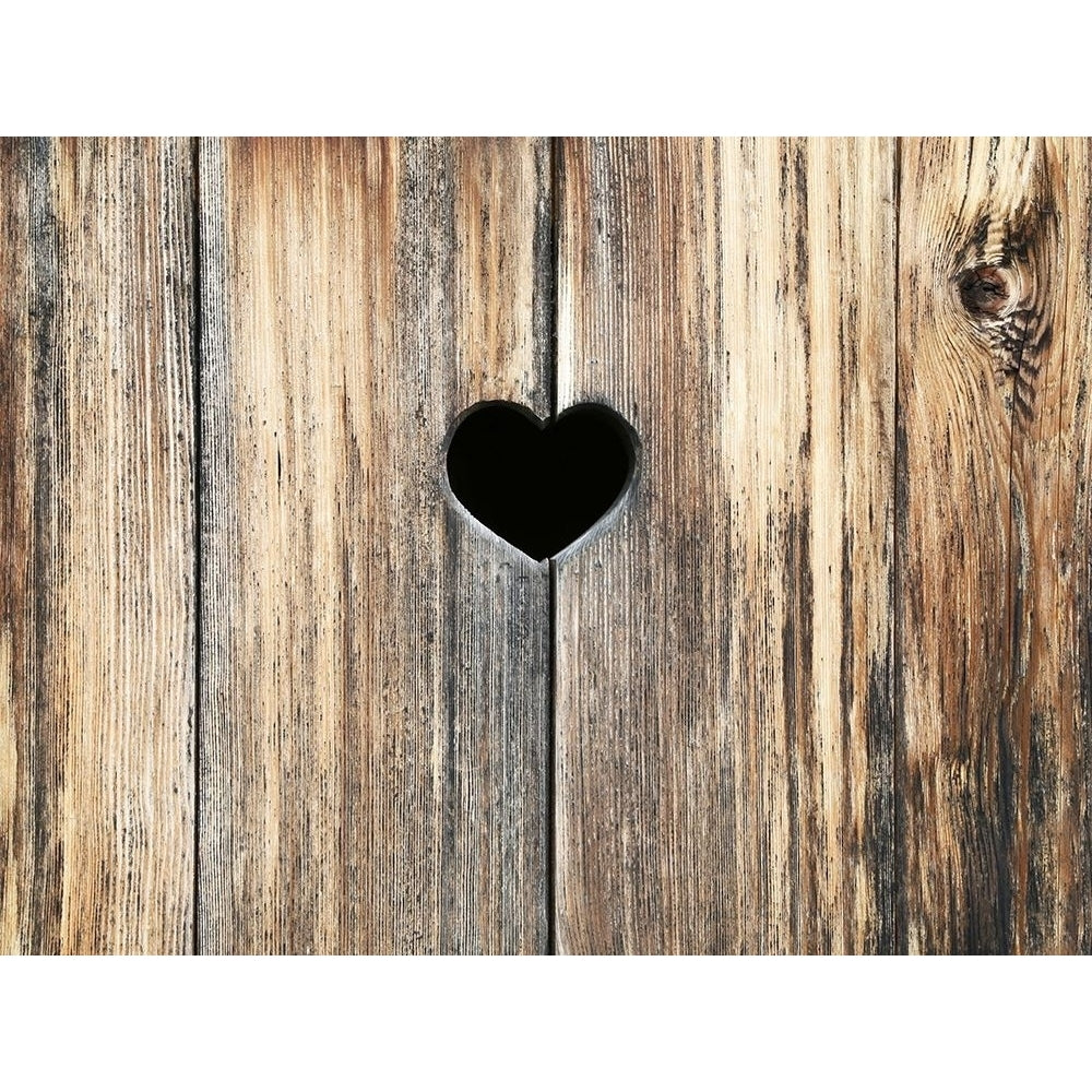 Heart in Wood Poster Print by Brooke T. Ryan-VARPDXR1232D Image 1