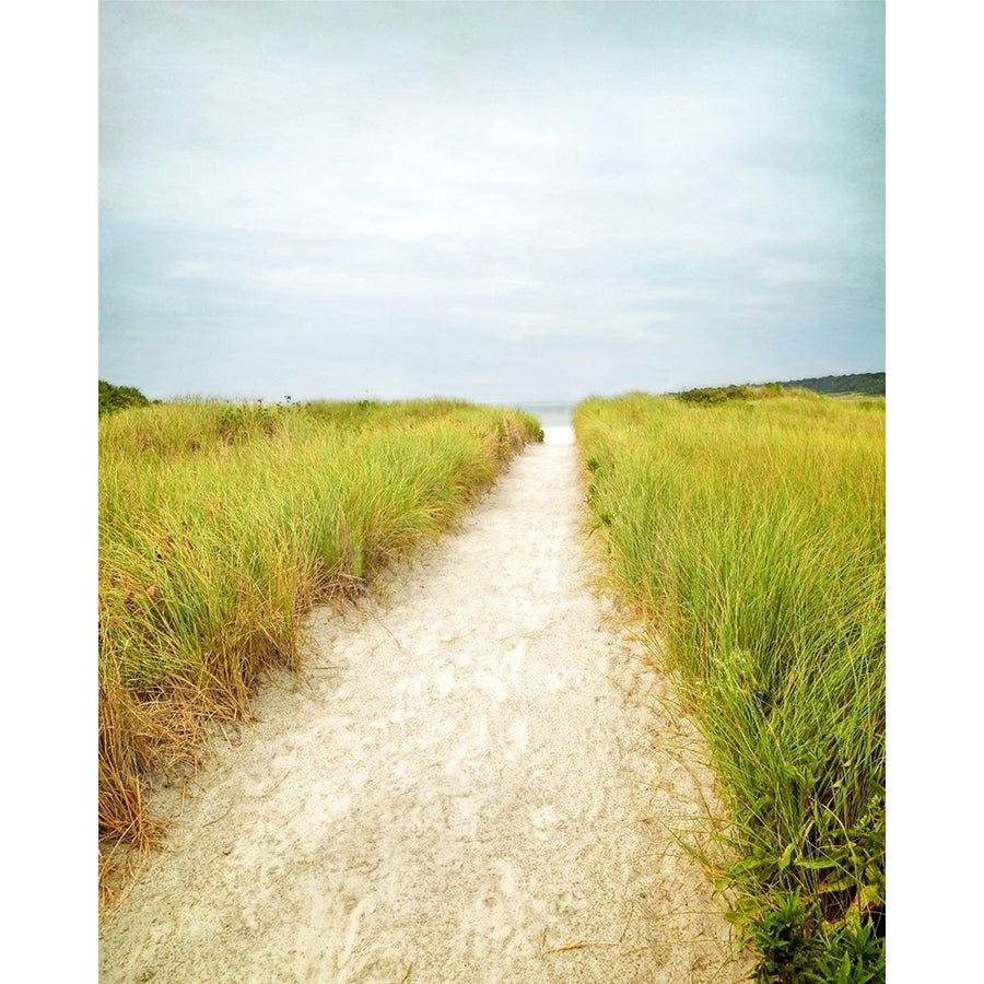 Beach Trail Poster Print by Brooke T. Ryan-VARPDXR1224D Image 1