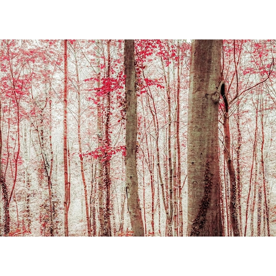 Pink and Brown Fantasy Forest Poster Print by Brooke T. Ryan-VARPDXR1226D Image 1