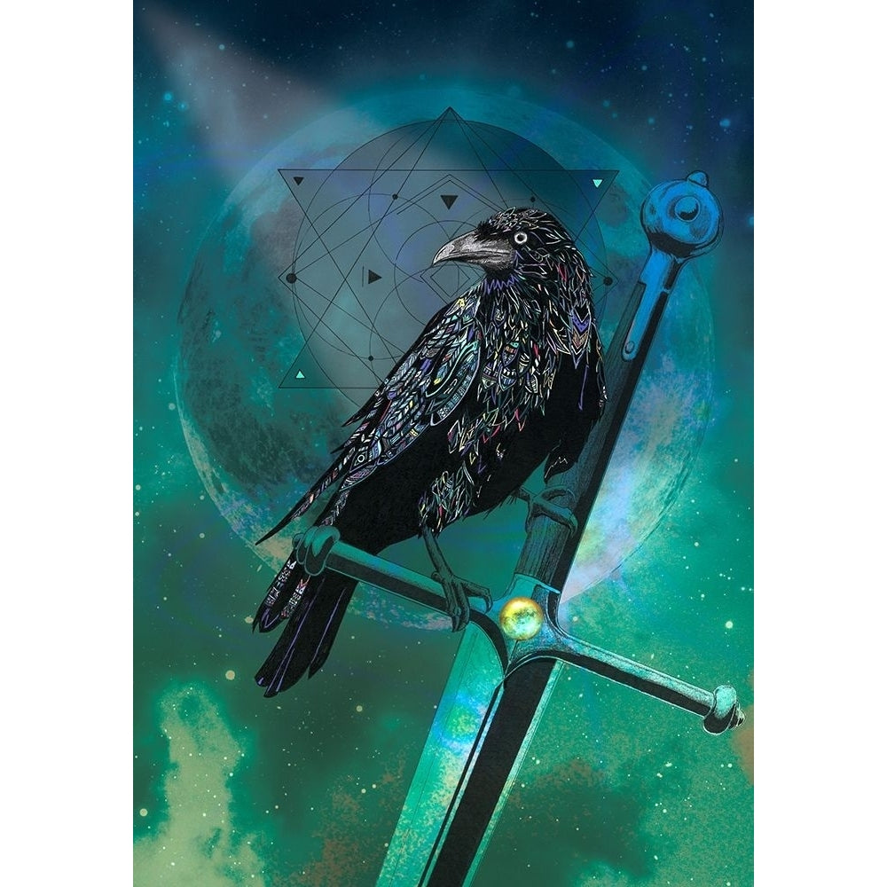 Cosmic Raven Poster Print by Karin Roberts-VARPDXR1272D Image 1