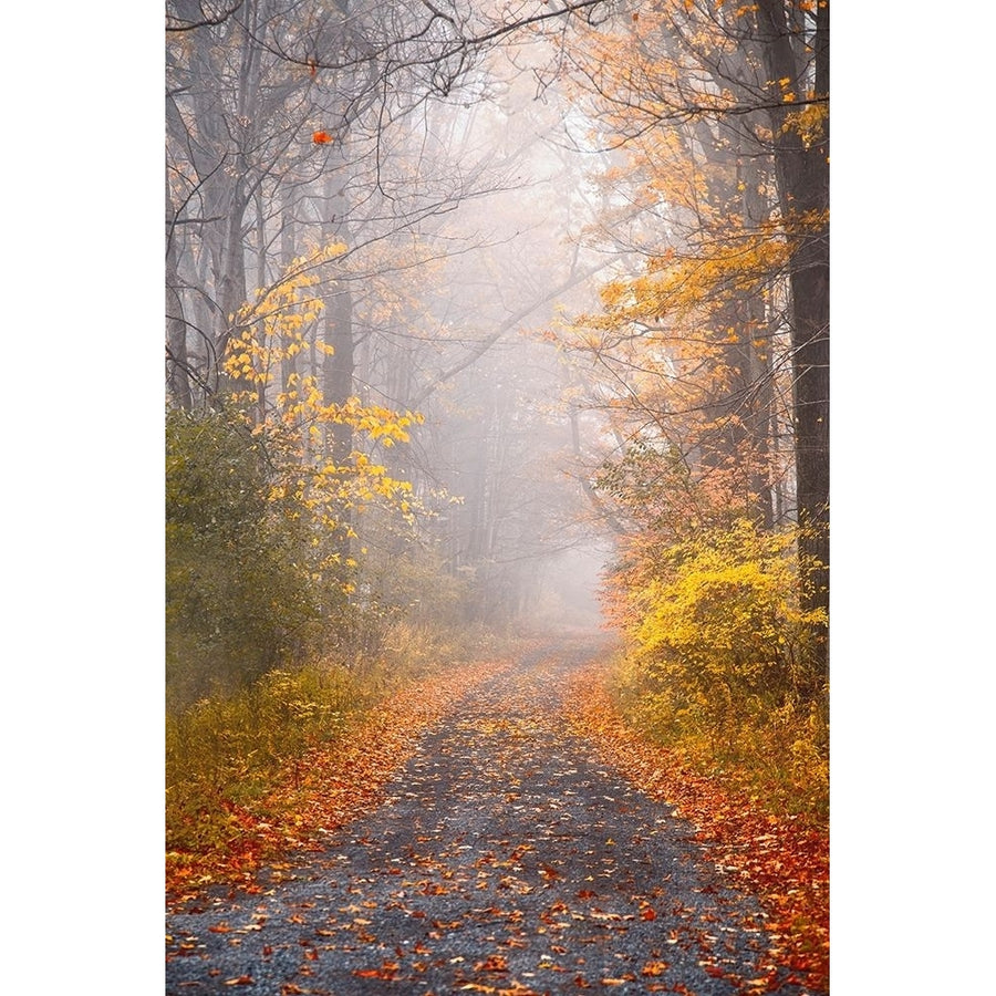 Road and Autumn Mist Poster Print by Brooke T. Ryan-VARPDXR1307D Image 1