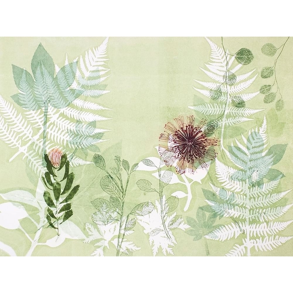 A Myriad Celebration of Plants Poster Print by Trudy Rice-VARPDXR1358D Image 1