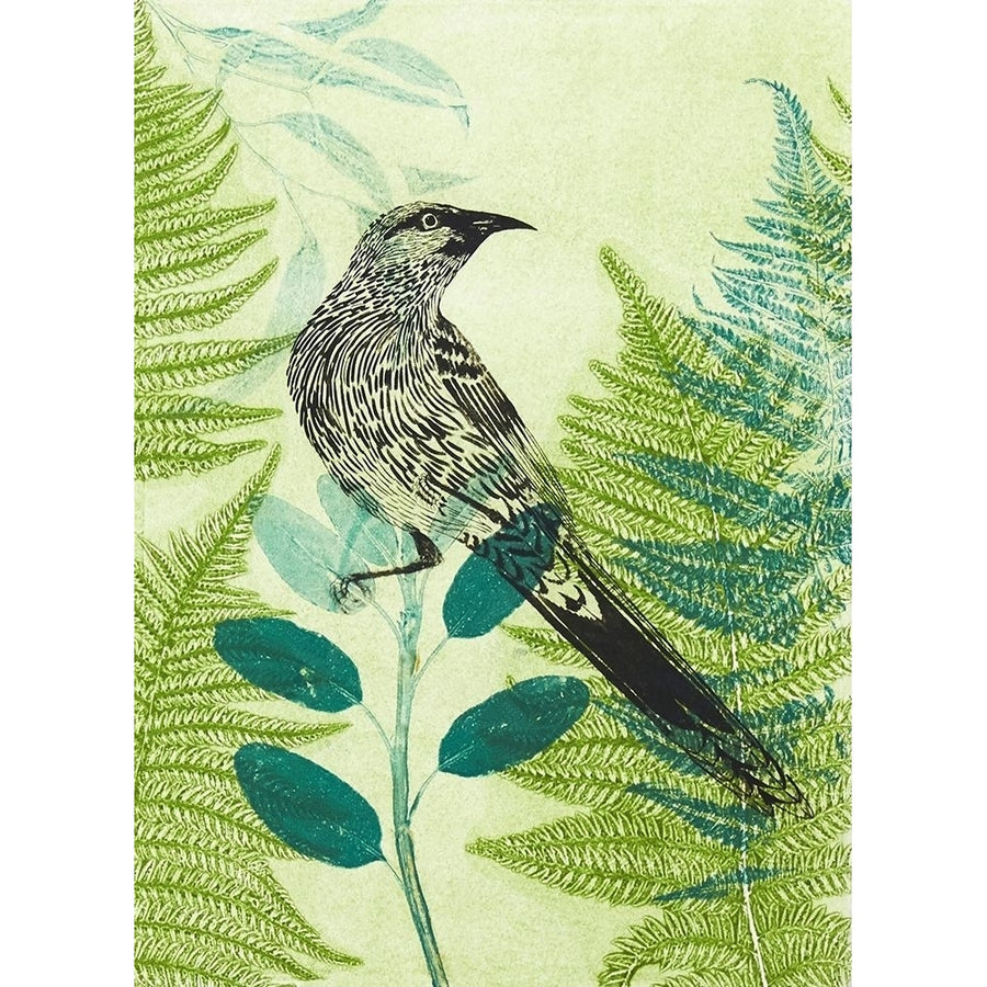 Wattlebird Hiding in the Fernery Poster Print by Trudy Rice-VARPDXR1373D Image 1