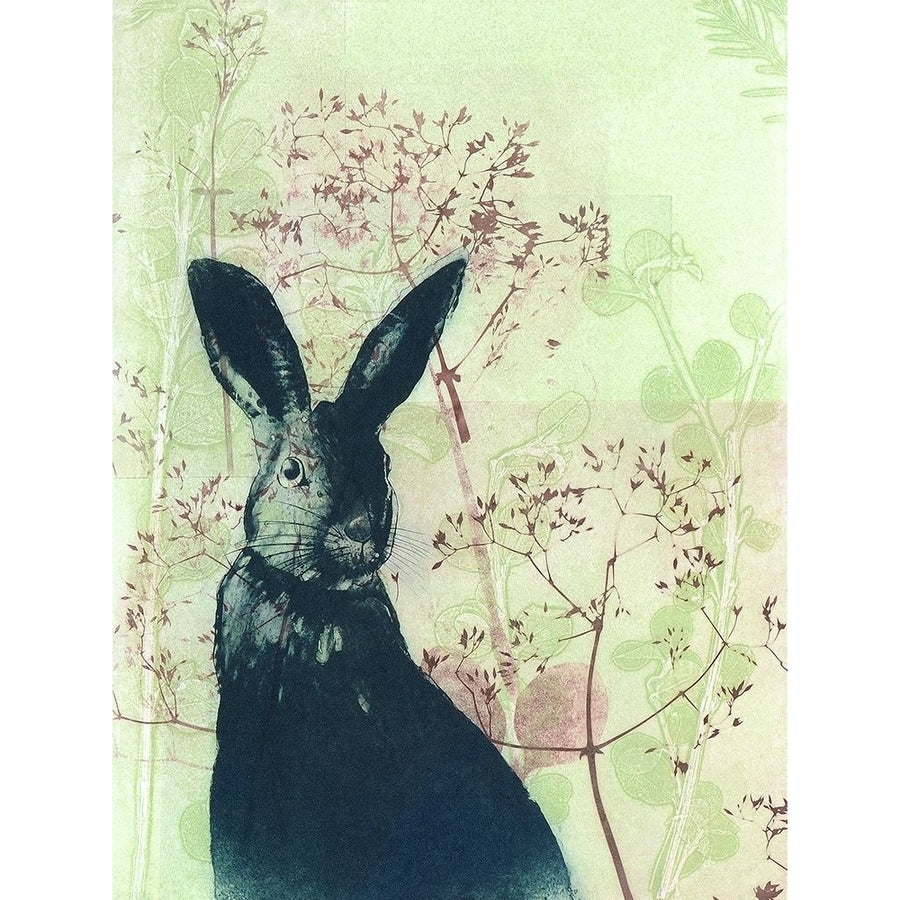 Wild Rabbit Poster Print by Trudy Rice-VARPDXR1377D Image 1