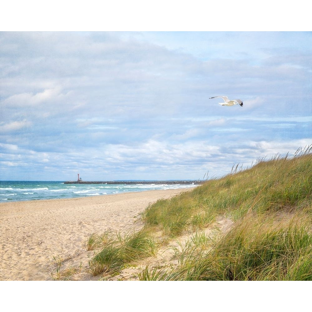 Beach And Jetty by Brooke T. Ryan-VARPDXR1421D Image 1