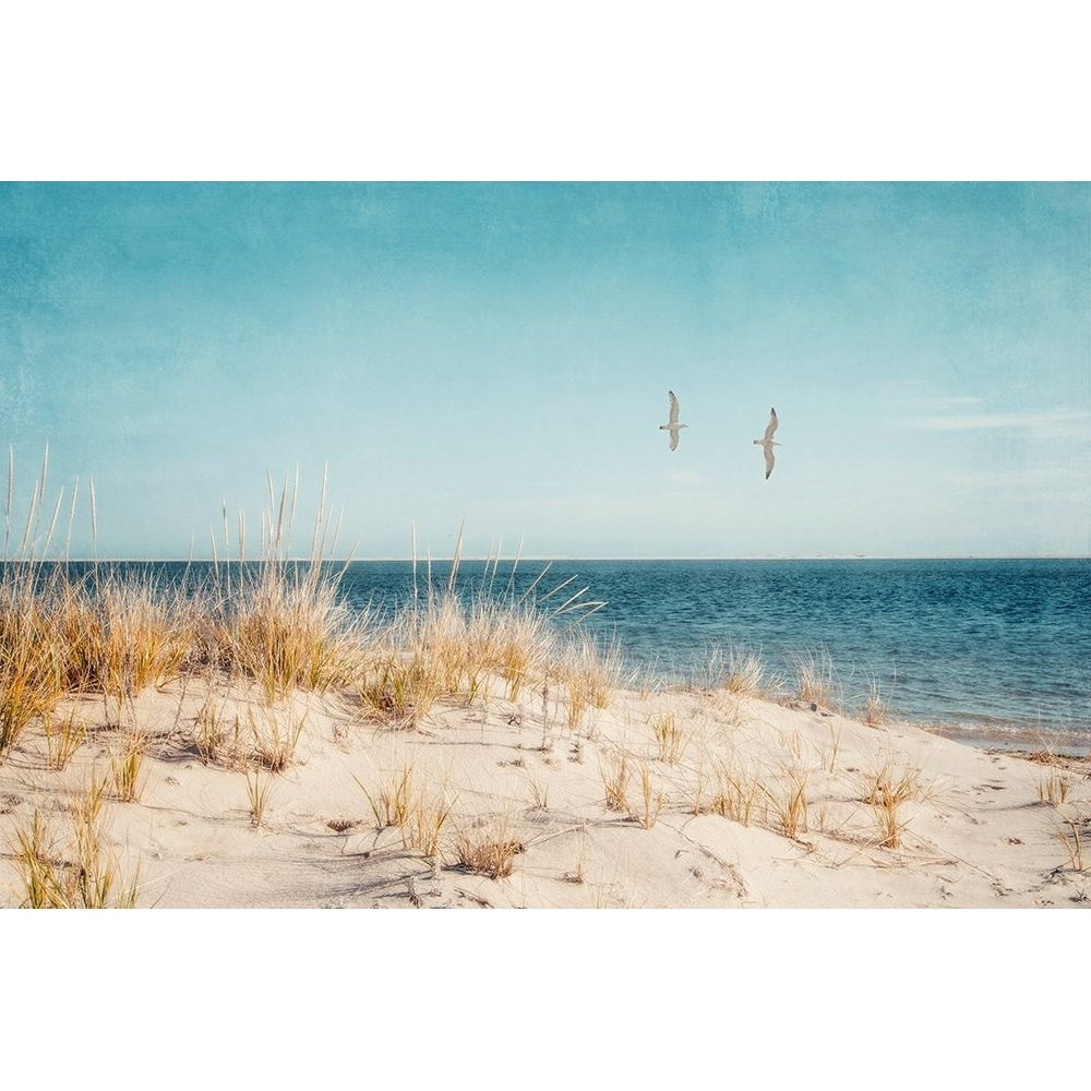 Beach And Gulls by Brooke T. Ryan-VARPDXR1420D Image 1