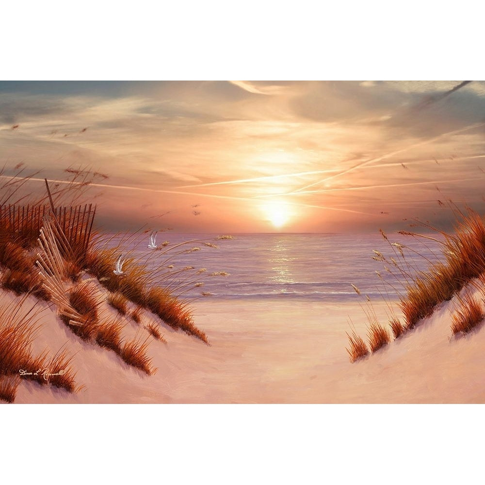 Dunes Poster Print - Diane Romanello-VARPDXR1492D Image 1