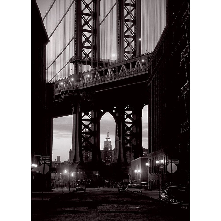 Manhattan skyline from Dumbo Poster Print by Michel Setboun-VARPDXR4191 Image 1