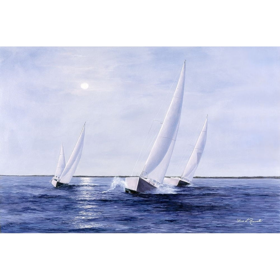 Blue Sails by Diane Romanello-VARPDXR848D Image 1