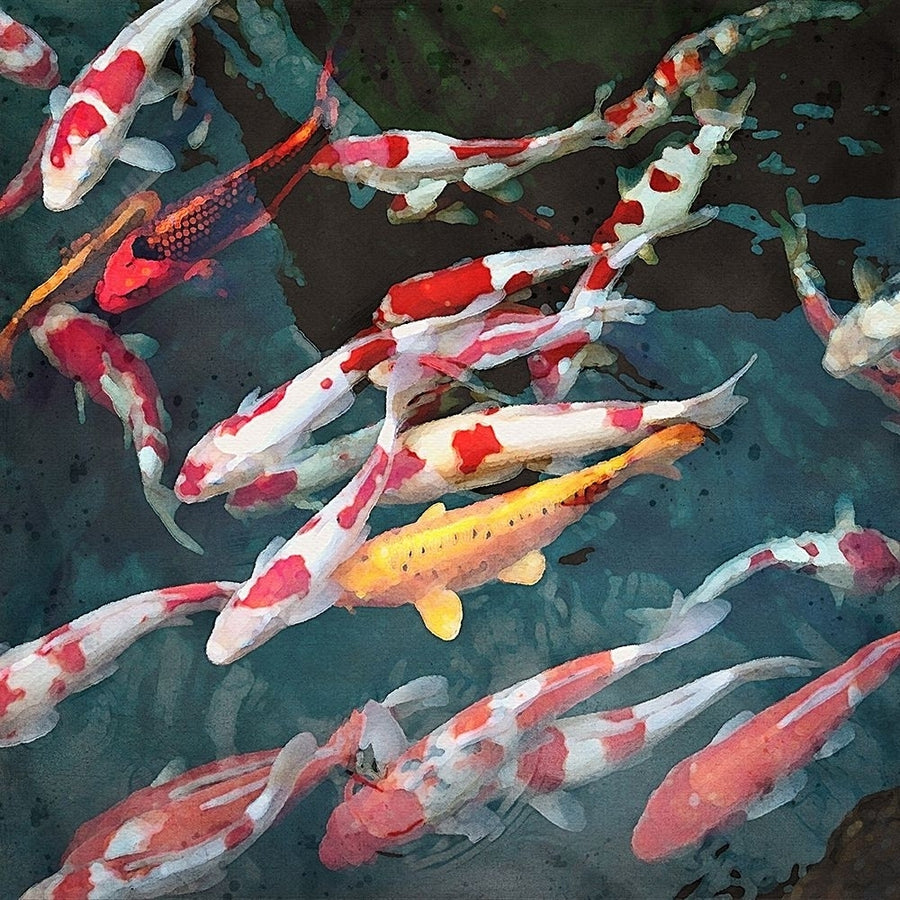 Koi Poster Print - RileyB-VARPDXRB0778 Image 1