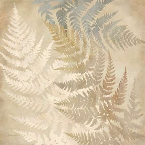 Majestic Ferns II Poster Print by Cynthia Coulter-VARPDXRB10088CC Image 1