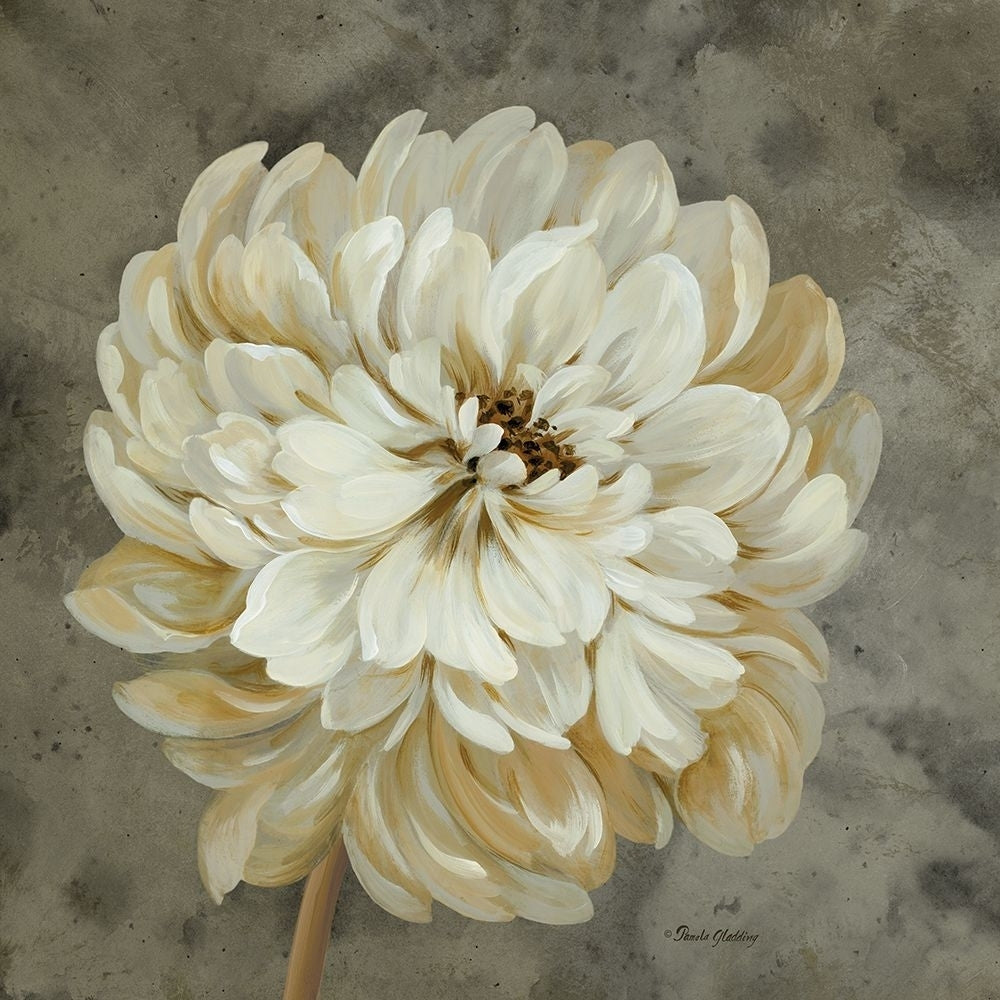 Pearl Grey Floral Study I by Pamela Gladding-VARPDXRB10356PG Image 1