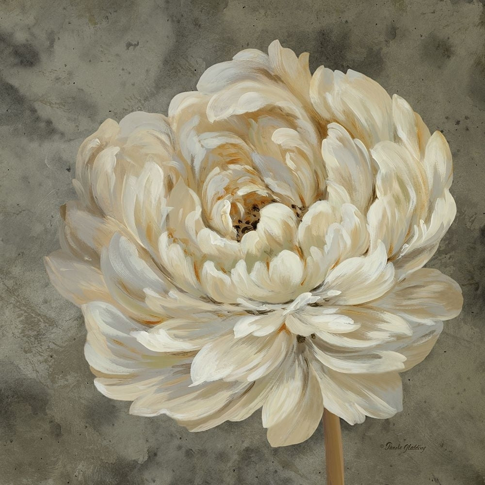 Pearl Grey Floral Study III by Pamela Gladding-VARPDXRB10357PG Image 1