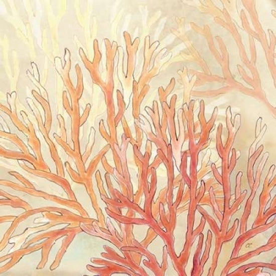 Coral Reef Cream II Poster Print by Cynthia Coulter-VARPDXRB11216CC Image 1