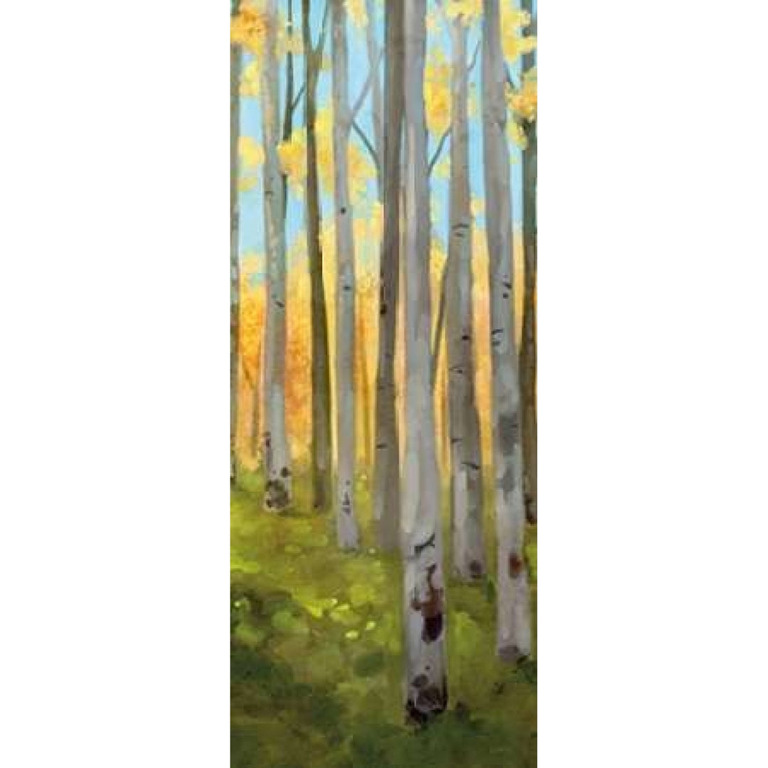 Birch Woods Panel II Poster Print by Vittorio Milan-VARPDXRB11234VM Image 1