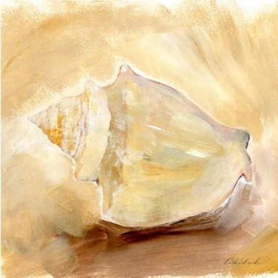 Painted Seashells I Poster Print by Caitlin Dundon-VARPDXRB11324CTL Image 1