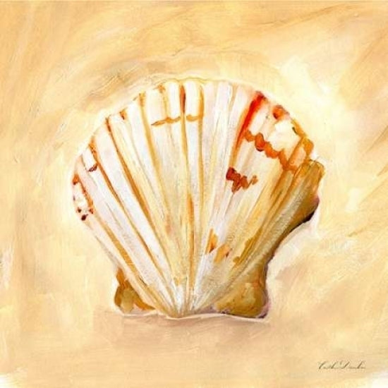 Painted Seashells II Poster Print by Caitlin Dundon-VARPDXRB11325CTL Image 1