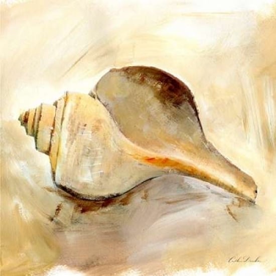 Painted Seashells III Poster Print by Caitlin Dundon-VARPDXRB11326CTL Image 1