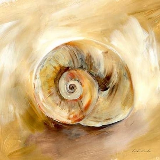 Painted Seashells V Poster Print by Caitlin Dundon-VARPDXRB11328CTL Image 1