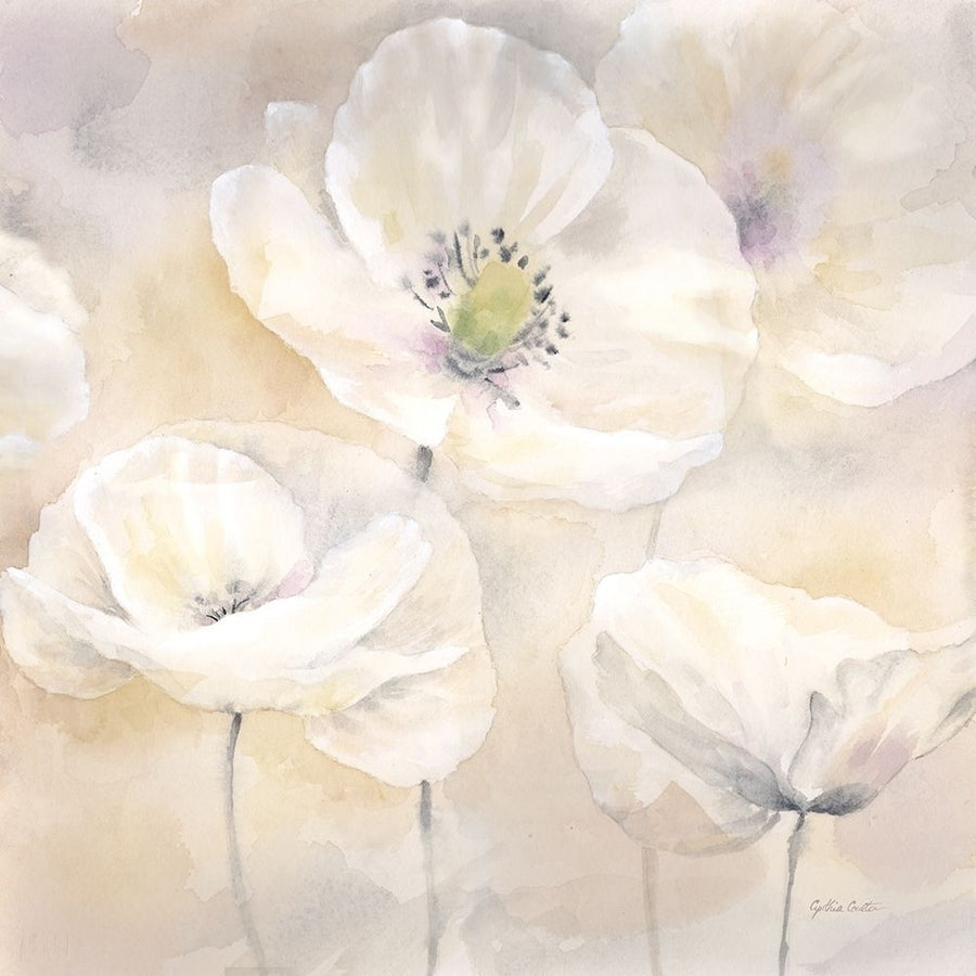 White Poppies I Poster Print by Cynthia Coulter-VARPDXRB11672CC Image 1