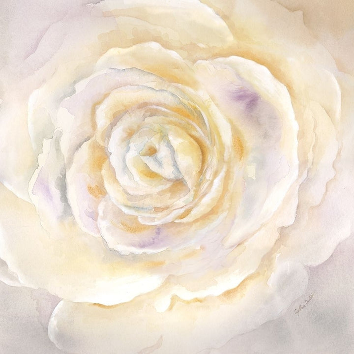 Watercolor Rose Closeup I Poster Print by Cynthia Coulter-VARPDXRB11786CC Image 2