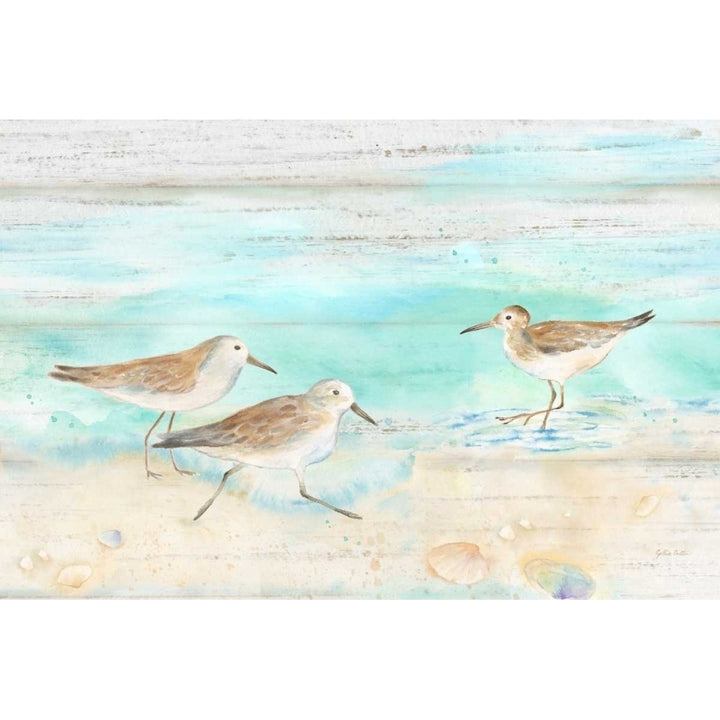 Sandpiper Beach Landscape Poster Print by Cynthia Coulter-VARPDXRB11886CC Image 2