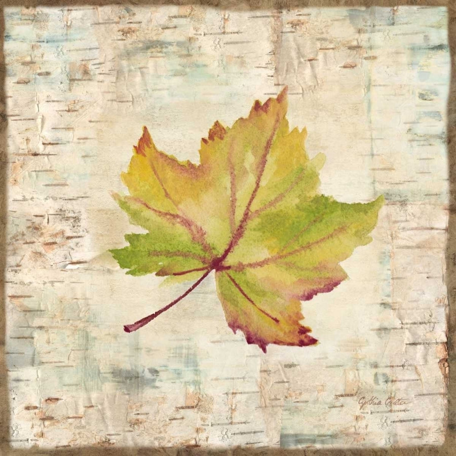 Nature Walk Leaves III Poster Print by Cynthia Coulter-VARPDXRB12006CC Image 1