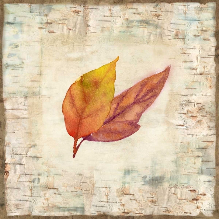 Nature Walk Leaves I Poster Print by Cynthia Coulter-VARPDXRB12004CC Image 2