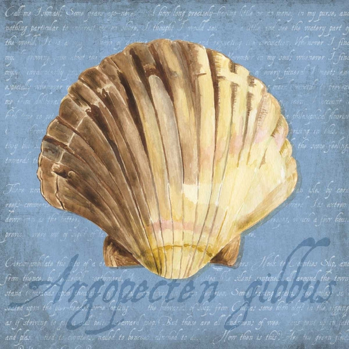 Oceanum Shells Blue V Poster Print by Tara Reed-VARPDXRB12022TR Image 2