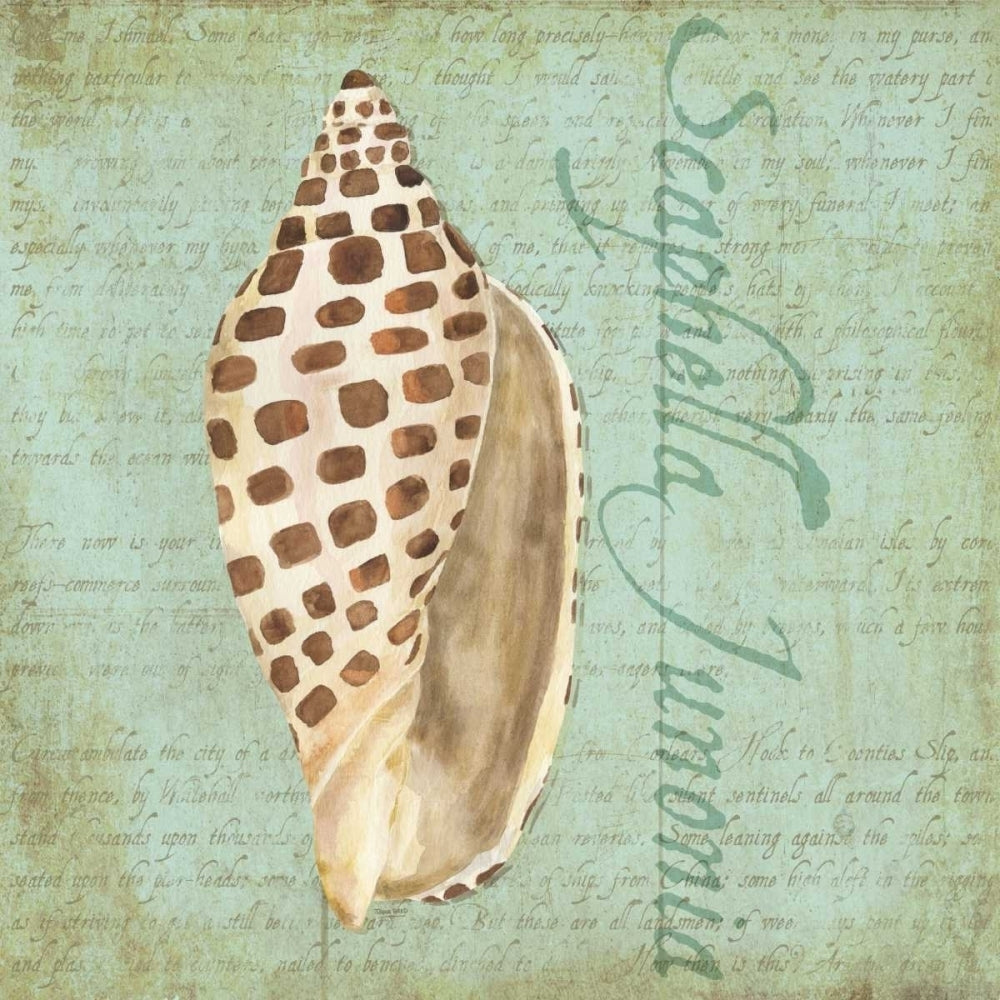 Oceanum Shells Green II Poster Print by Tara Reed-VARPDXRB12027TR Image 2