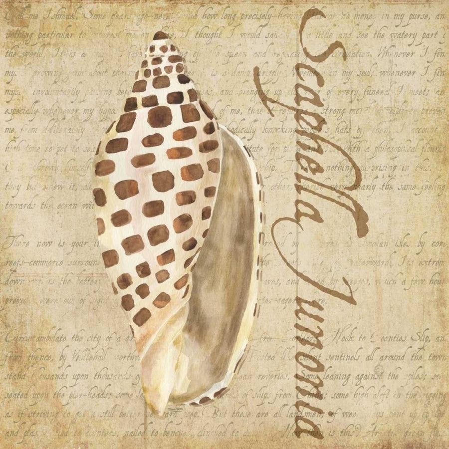 Oceanum Shells Beige II Poster Print by Tara Reed-VARPDXRB12035TR Image 1