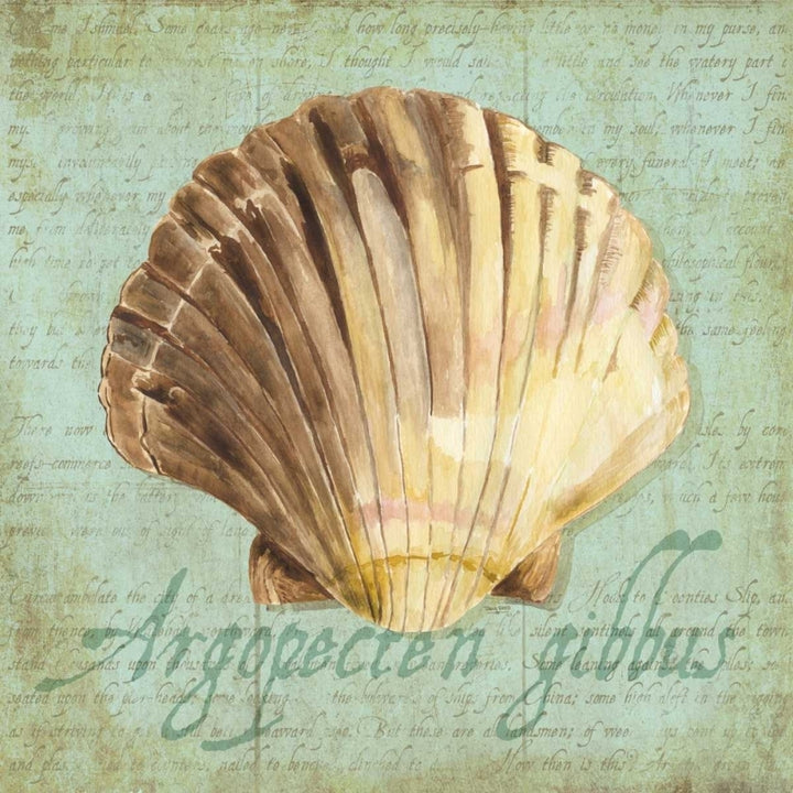 Oceanum Shells Green V Poster Print by Tara Reed-VARPDXRB12030TR Image 2