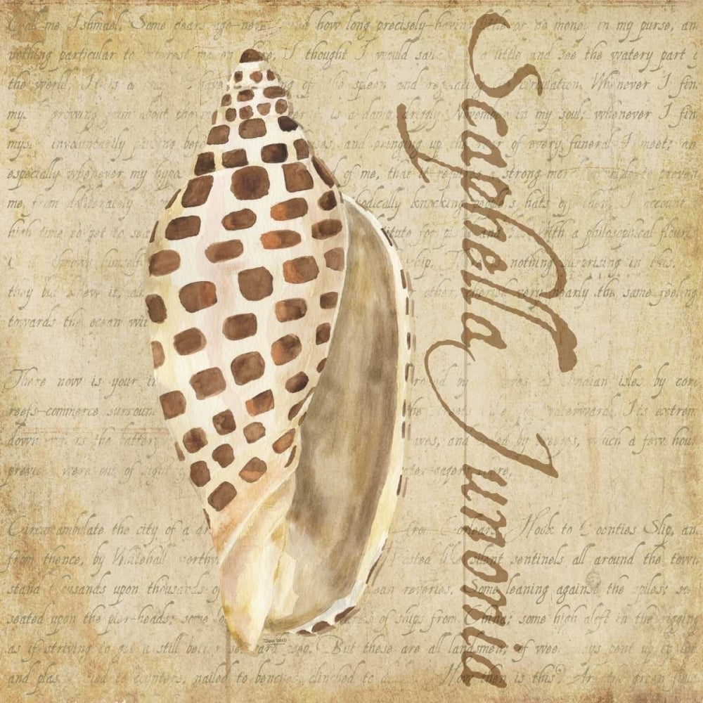 Oceanum Shells Beige II Poster Print by Tara Reed-VARPDXRB12035TR Image 2