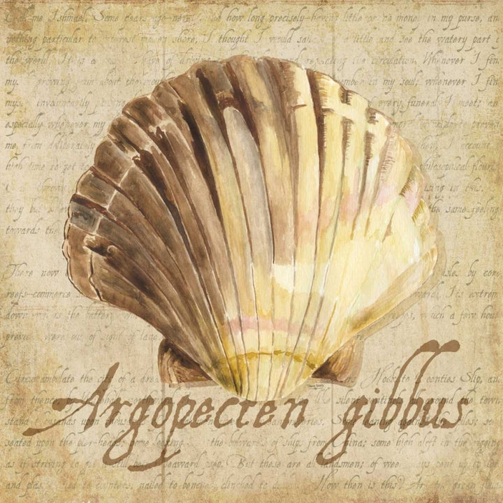 Oceanum Shells Beige V Poster Print by Tara Reed-VARPDXRB12038TR Image 2