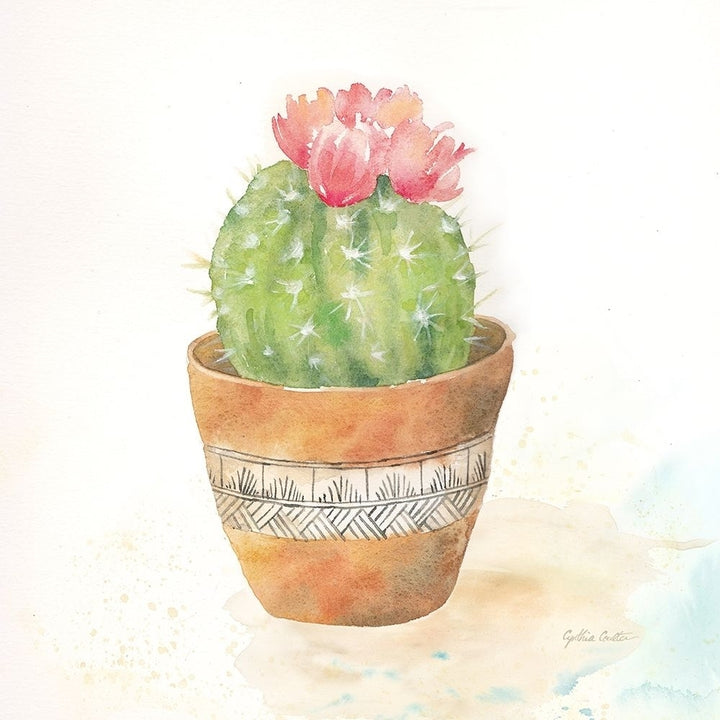 Cactus Pots Iv Poster Print by Cynthia Coulter-VARPDXRB12067CC Image 2