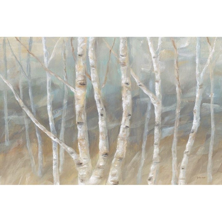 Silver Birch Landscape Poster Print by Cynthia Coulter-VARPDXRB12249CC Image 2