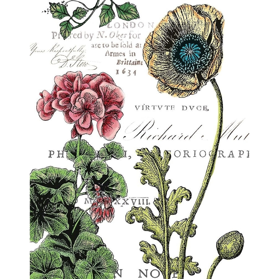 Botanical Postcard Color Iii Poster Print by Marie Elaine Cusson-VARPDXRB12326MC Image 1